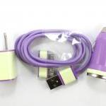 Glow In The Dark Purple Iphone Charger