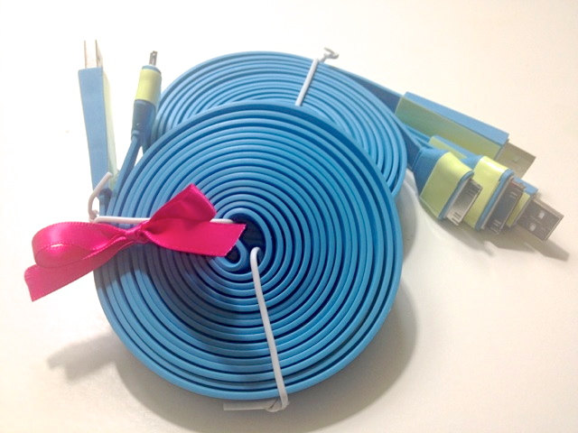 Custom Order Blue 10 Ft Long Glow In The Dark Iphone Charger